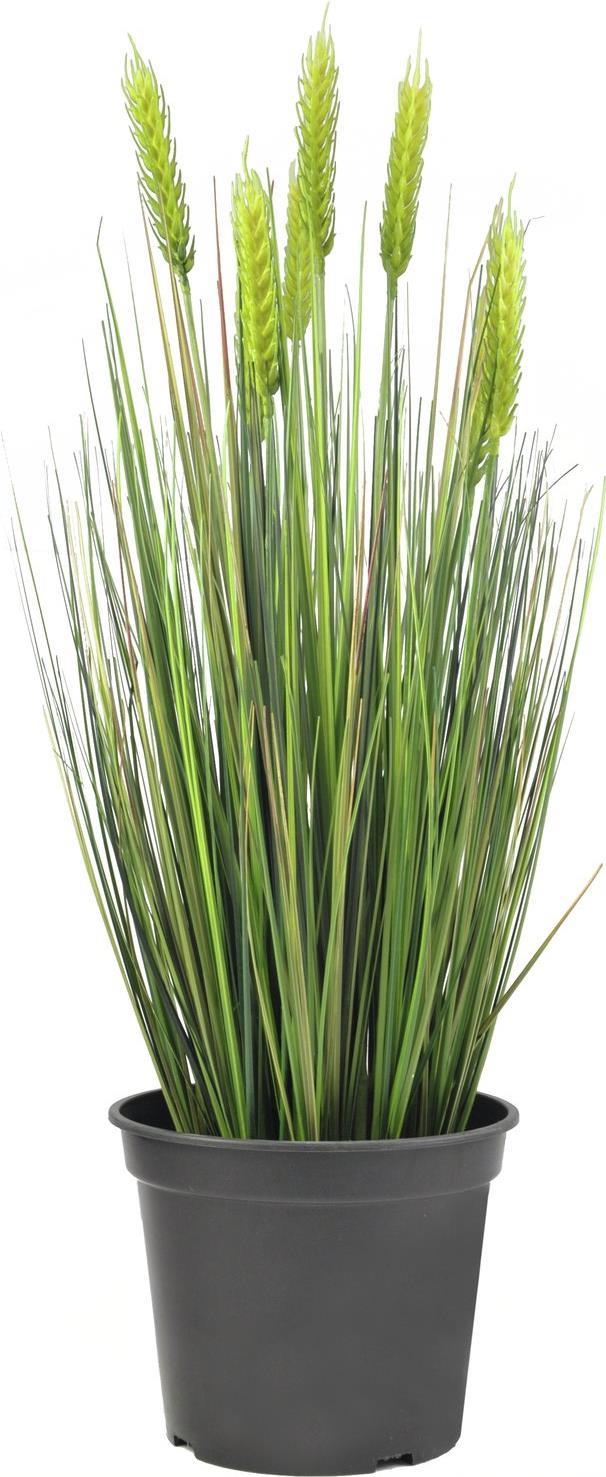 EUROPALMS Weizen Frühsommer, künstlich, 60cm (82505866)