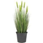 EUROPALMS Weizen Frühsommer, künstlich, 60cm (82505866)