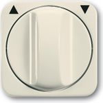 Busch-Jaeger 1753-0-0599 Wandplatte/Schalterabdeckung Elfenbein (2CKA001753A0599)