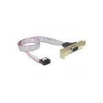 Delock Low Profile Slotblech > 1 x Seriell Belegung: 1:1 (89300)