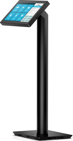 HP Engage 6.6"  Pole Display (10P79AA)