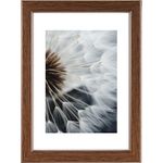 Hama Breeze Glas Polystyrol (PS) (00193048)