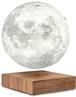 Gingko Design Smart Moon Lamp (G019WT)