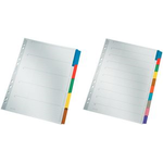 LEITZ Mylarkarton-Register, blanko, A4, 5-teilig, grau farbige Tabe, 160 g-qm, mit beschriftbarem Deckblatt, Tabe (4320-00-00)