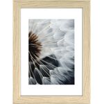 Hama Breeze Glas Polystyrol (PS) (00193038)