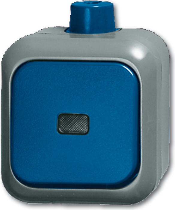 Busch Jaeger 2CKA001084A0854 Elektroschalter Rocker switch Blau - Grau (2CKA001084A0854)