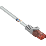 Renkforce RF-5047516 RJ45 Netzwerkkabel, Patchkabel CAT 6 U/UTP 0.50 m Grau mit Rastnasenschutz, Halogenfrei 1 (RF-5047516)
