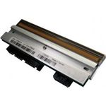 Citizen 203 dpi Druckkopf (PPM80001-00)