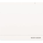 BJ System Access Point 2.0 SAP/S.13 (2CKA006200A0154) (geöffnet)