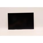 Lenovo DISPLAY AUO 14.0 WUXGA AG (5D10V82395)