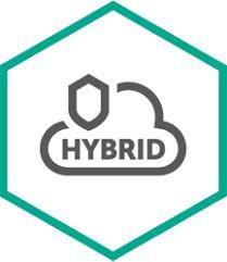 Kaspersky Hybrid Cloud Security Desktop European Edi. 10-14 VirtualWorkstation 1 month Successive License (KL4155XAKMG)