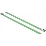 DeLOCK Kabelbinder 20cm (18805)