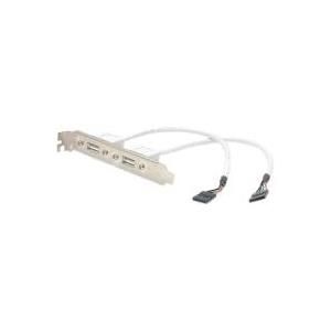 StarTech.com 2-Port USB A Slotblech-Adapter (Buchse) - USB-Konsole - USB Typ ...