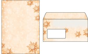sigel Weihnachts-Motiv-Umschlag Golden Snowflake, DIN lang (DU234)