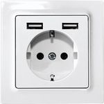 Eltako Schutzkontakt-Steckdose reinweiß glänzend DSS55E+2xUSBA-wg (30055896)