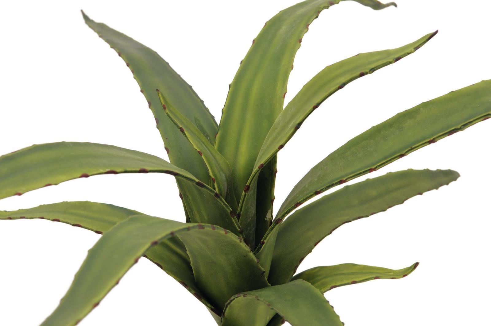 EUROPALMS Aloe (EVA), künstlich, grün, 66cm (82530571)