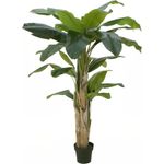 EUROPALMS Bananenbaum, Kunstpflanze, 170cm (82509539)