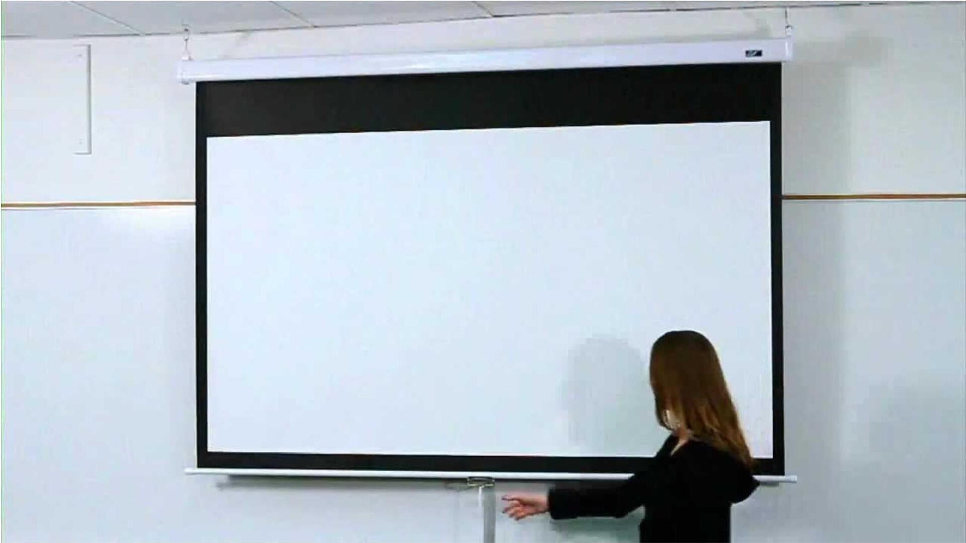 Elite Screens M150XWV2 150" 4:3 MaxWhite Weiß