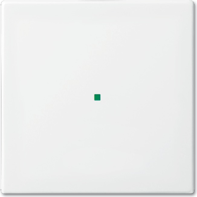 Busch-Jaeger 2CKA006220A0355 Abdeckplatte für Sensorhalterung & -sockel Weiß (2CKA006220A0355)