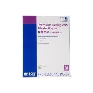 Epson Premium Semigloss Photo Paper (C13S042093)