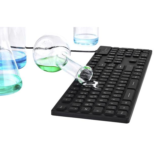 Renkforce RF-3561816 Kabelgebundene Tastatur USB + PS/2 QWERTZ Deutsch Schwarz