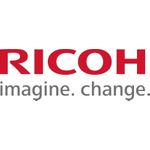 Ricoh Type 1 Druckerreinigungsstift (515894)