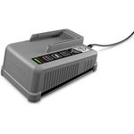 Kärcher Schnellladegerät Battery Power+ 36/60 (2.445-045.0)