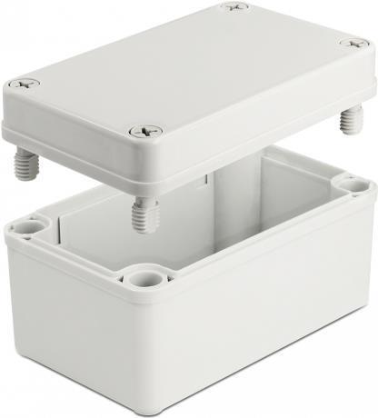 Delock Aufputzbox Grau (60399)