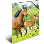 HERMA Eckspannermappe "Pferde", aus PP, DIN A3 Maße: (B)315 x (T)4 x (H)440 mm, mit 3 Innenklappen und - 1 Stück (7145)