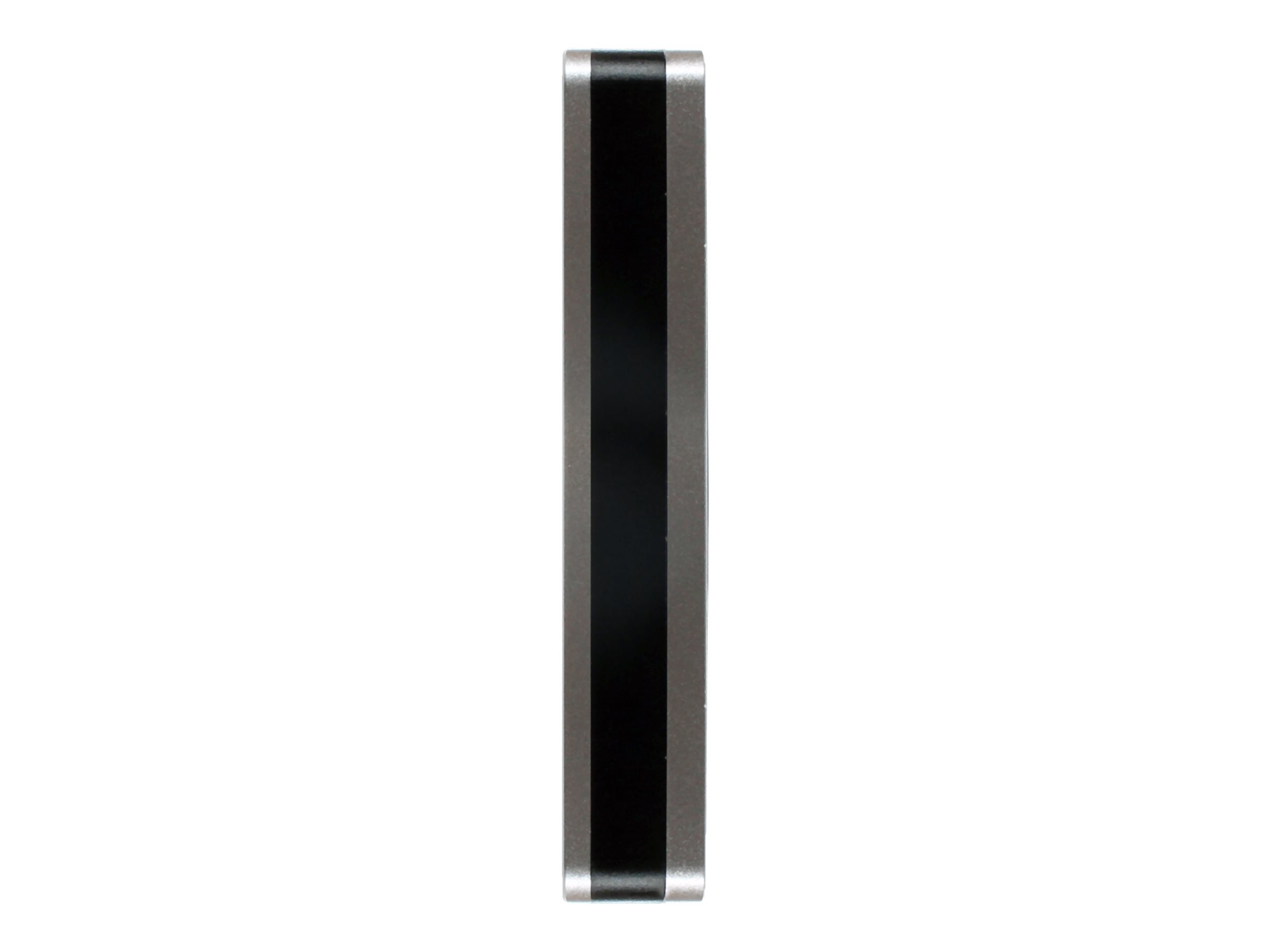 DataLocker DL4 FE Externe Festplatte 1 TB 2,5" HDD USB-C 3.2 Gen 1 Aluminium, Schwarz