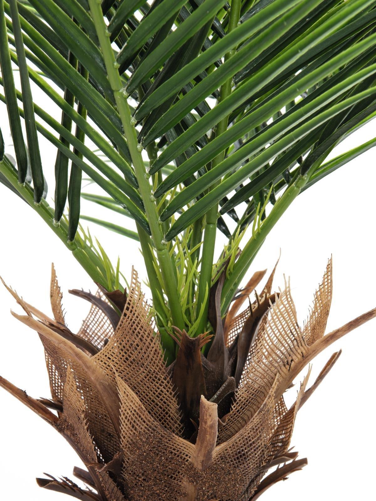 EUROPALMS Phönix Palme deluxe, Kunstpflanze 220cm (82509722)