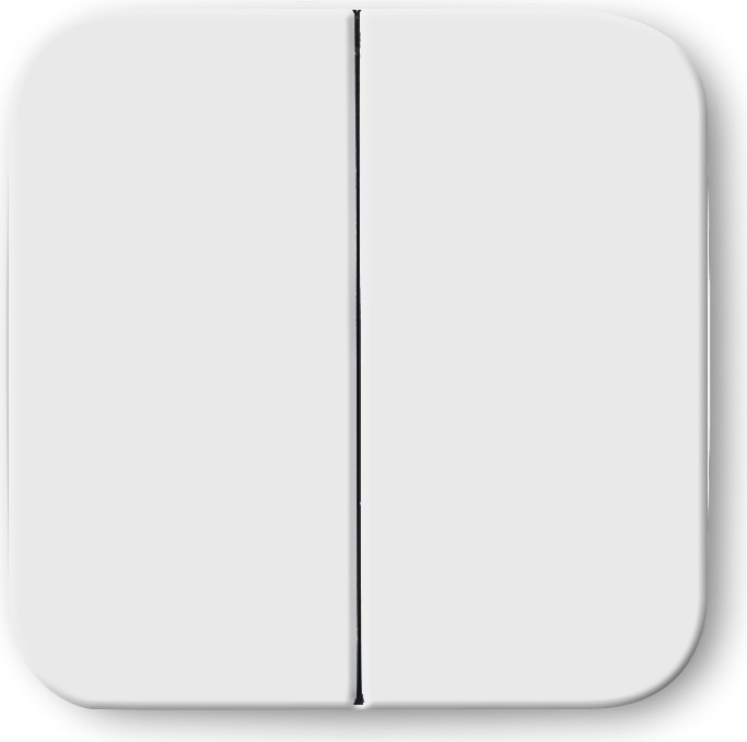 Busch Jaeger 2545-214 (1434-0-0562)