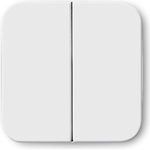 Busch Jaeger 2545-214 (1434-0-0562)