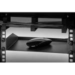 Renkforce RF-3429162 25,40cm (10")  Netzwerkschrank-Geräteboden 1 HE Geeignet für Schranktiefe: ab 300 mm Schwarz (RF-3429162)