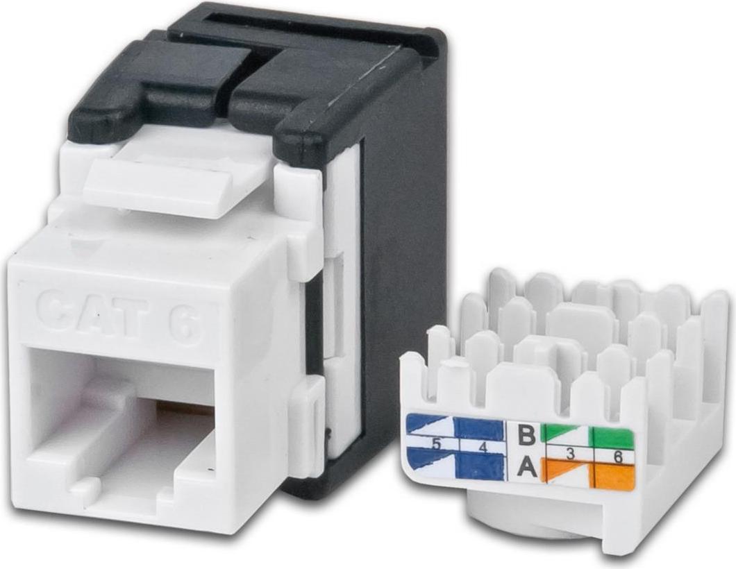 Wirewin KAT6 Gigabit Ethernet Keystone Modul, ungeschirmt Keystone System (TKS JACK KAT6 UTP)