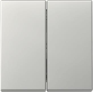 GIRA Wippe 3295600 2f Sys.55 es (3295600)