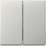 GIRA Wippe 3295600 2f Sys.55 es (3295600)