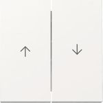 GIRA Wippe 329403 2f Pfeil Sys.55 rws (329403)