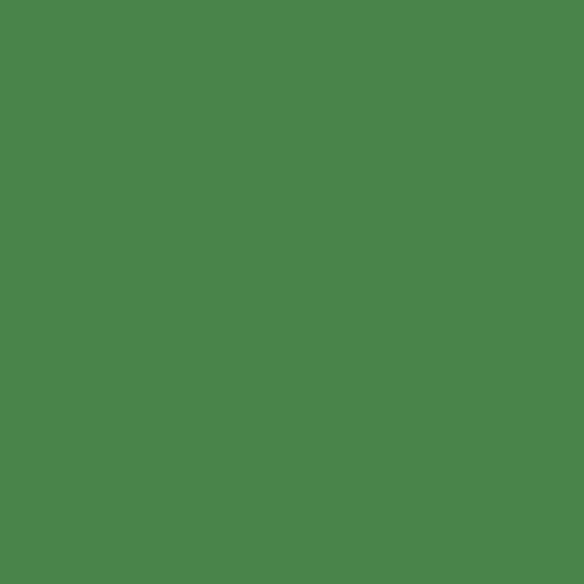 WALSER Walimex pro Hintergrundkarton 1,35x10m,grün chroma (22807)