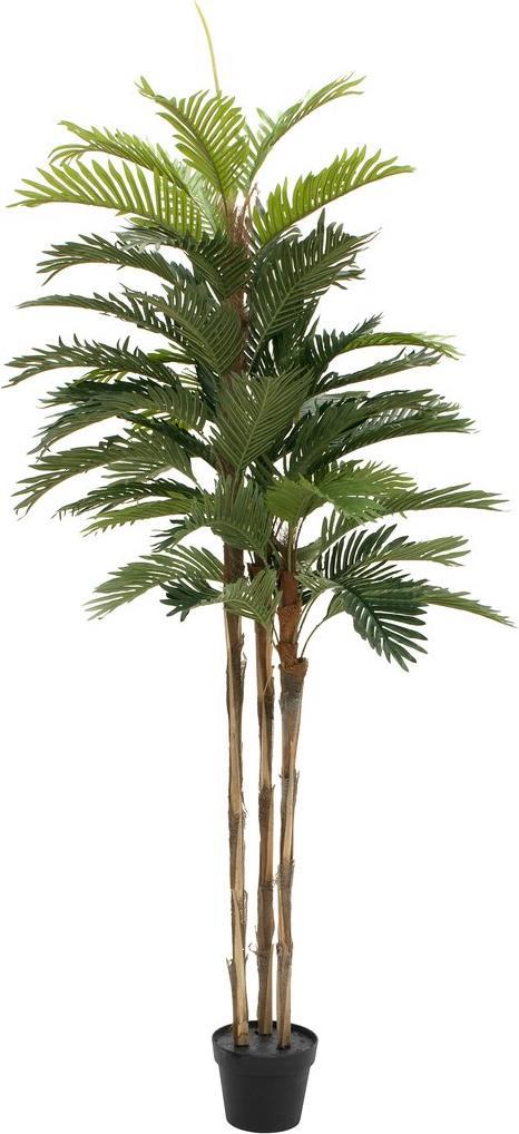 EUROPALMS Kentia Palme, Kunstpflanze, 150cm (82511366)