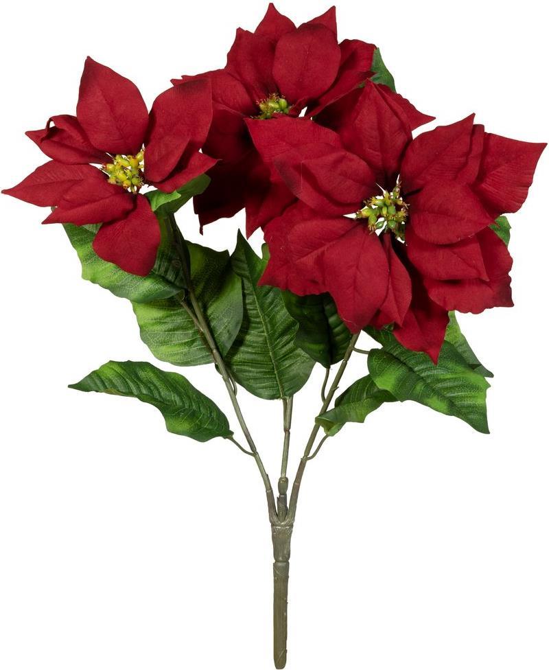 EUROPALMS Weihnachtsstern-Busch, rot, 50cm (83500439)