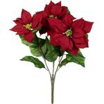 EUROPALMS Weihnachtsstern-Busch, rot, 50cm (83500439)