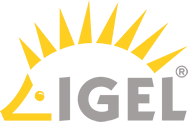 IGEL Workspace Edition 1 year Maintenance - Renewal (BMY1LR000000000)