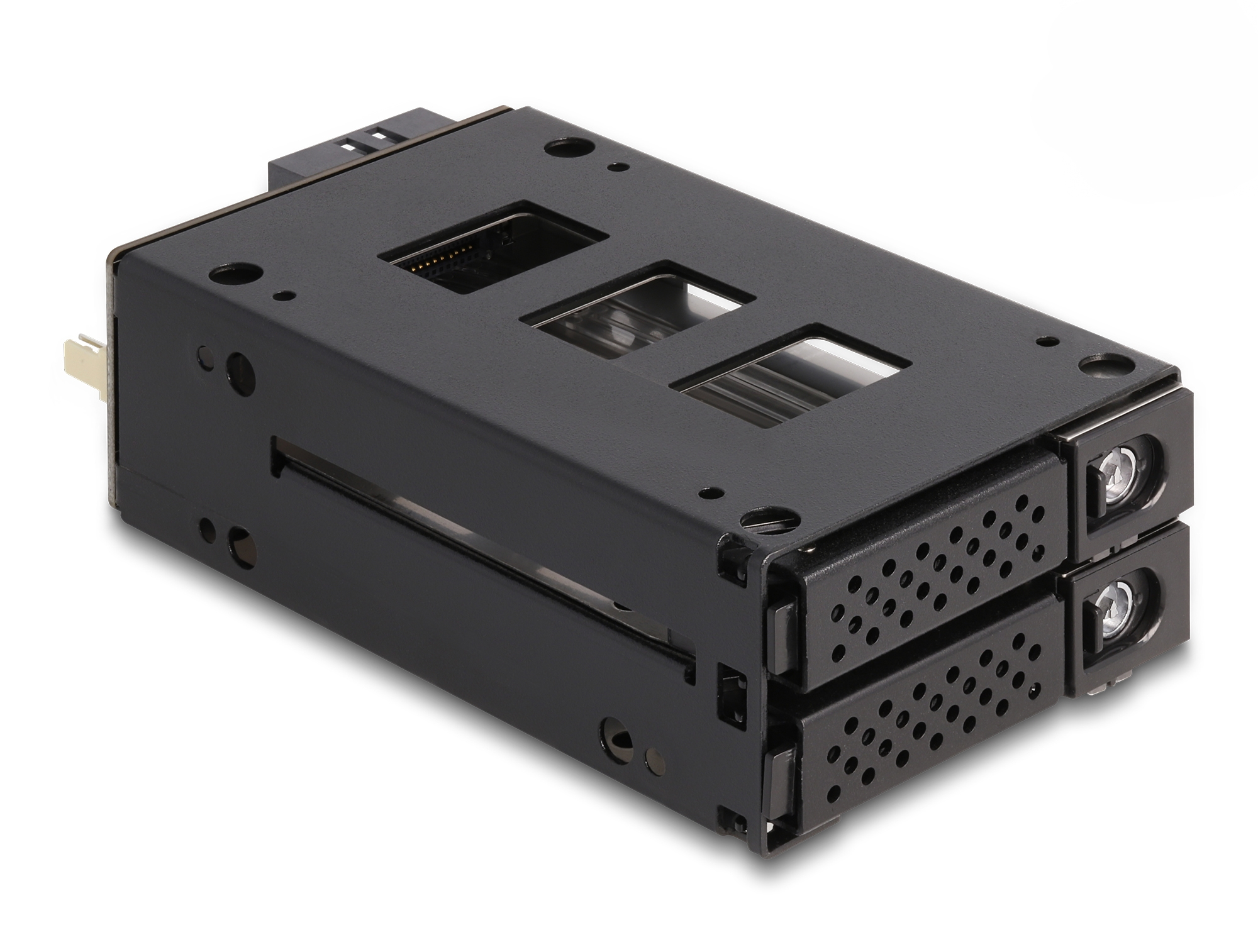 Delock Slim Bay Wechselrahmen für 2 x 2.5" U.2 NVMe SSD – Schwarz