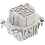 Harting Buchseneinsatz Han® DD 09 16 024 3101 24 + PE Crimpen 1 St. (09 16 024 3101)