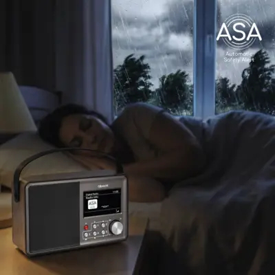 ALAN DR 862 Tragbares DAB+ FM Radio 15 h Grau, Holz
