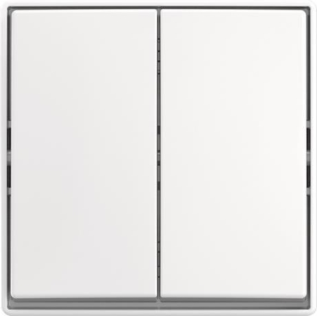 BUSCH JAEGER Wippschalter AP 2601/5 J-524 (2TKA00005523)