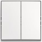 BUSCH JAEGER Wippschalter AP 2601/5 J-524 (2TKA00005523)