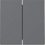 GIRA Wippe 329528 2f Sys.55 anthr (329528)