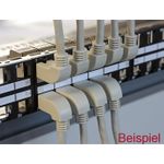 DeLOCK Patch-Kabel RJ-45 (M) (83524)